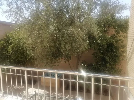تصویر ملک