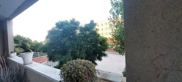 تصویر ملک