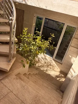 تصویر ملک