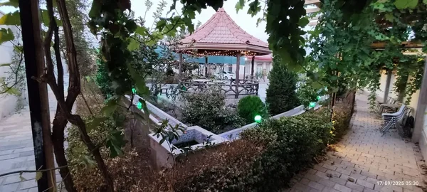 تصویر ملک